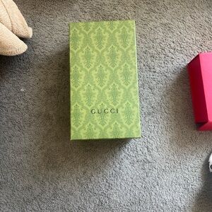 Gucci Light Green Patterned Designer Gift Box